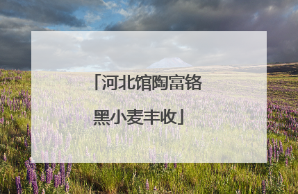 河北馆陶富铬黑小麦丰收