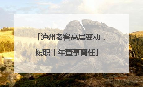 泸州老窖高层变动，履职十年董事离任