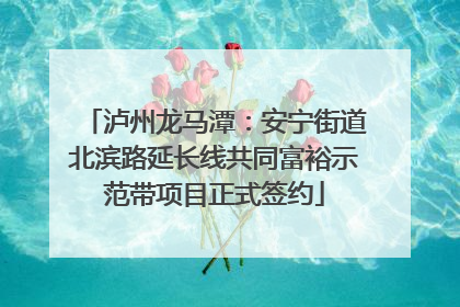 泸州龙马潭：安宁街道北滨路延长线共同富裕示范带项目正式签约