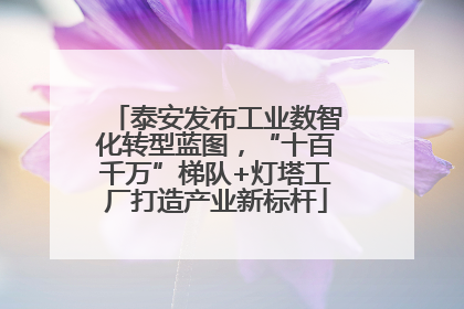 泰安发布工业数智化转型蓝图，“十百千万”梯队+灯塔工厂打造产业新标杆