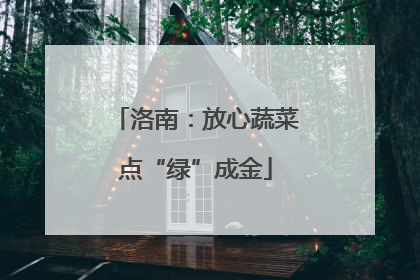 洛南：放心蔬菜点“绿”成金