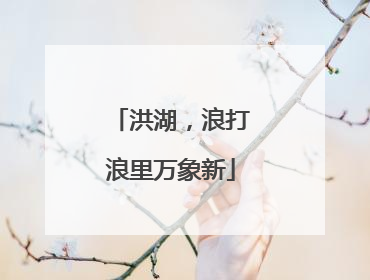 洪湖，浪打浪里万象新