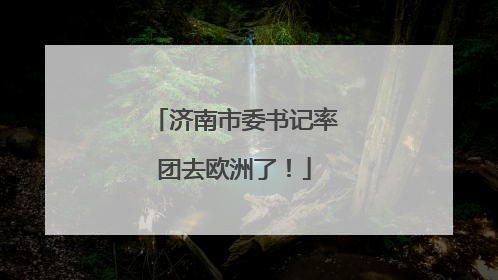 济南市委书记率团去欧洲了！