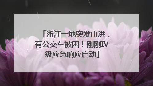 浙江一地突发山洪，有公交车被困！刚刚Ⅳ级应急响应启动