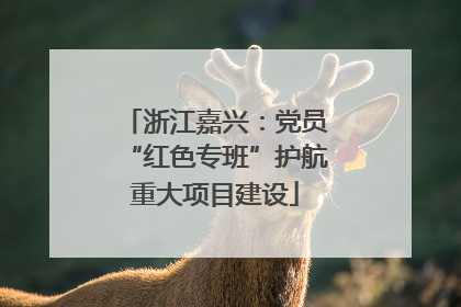 浙江嘉兴：党员“红色专班”护航重大项目建设