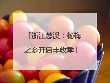浙江慈溪：杨梅之乡开启丰收季