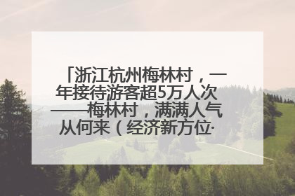 浙江杭州梅林村，一年接待游客超5万人次——梅林村，满满人气从何来（经济新方位·农村消费观察）