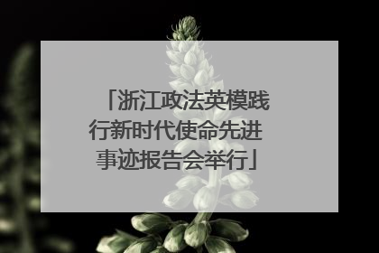 浙江政法英模践行新时代使命先进事迹报告会举行