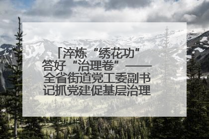 淬炼“绣花功” 答好“治理卷”——全省街道党工委副书记抓党建促基层治理培训示范班侧记