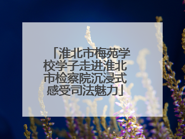 淮北市梅苑学校学子走进淮北市检察院沉浸式感受司法魅力