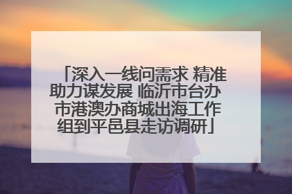 深入一线问需求 精准助力谋发展 临沂市台办 市港澳办商城出海工作组到平邑县走访调研