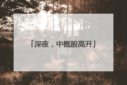 深夜，中概股高开