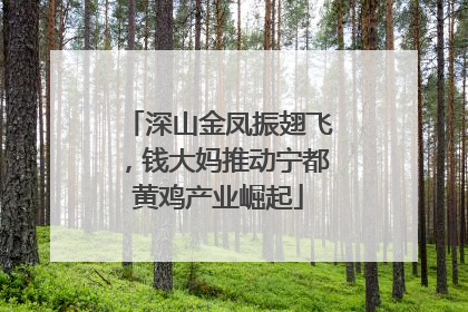 深山金凤振翅飞，钱大妈推动宁都黄鸡产业崛起
