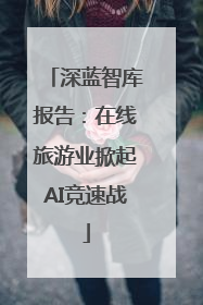 深蓝智库报告：在线旅游业掀起AI竞速战