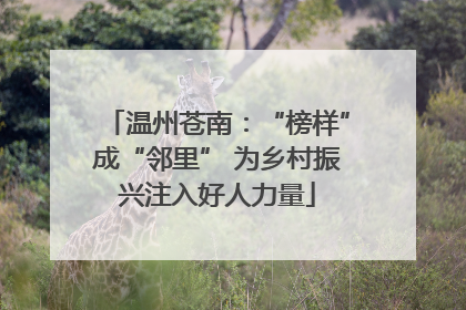 温州苍南：“榜样”成“邻里” 为乡村振兴注入好人力量