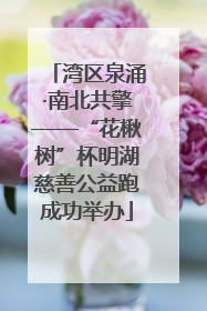 湾区泉涌·南北共擎——“花楸树”杯明湖慈善公益跑成功举办