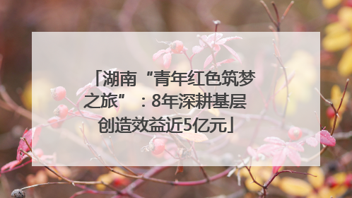 湖南“青年红色筑梦之旅”：8年深耕基层创造效益近5亿元