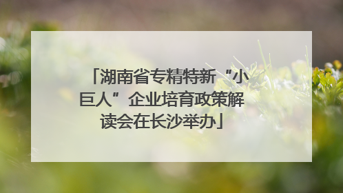 湖南省专精特新“小巨人”企业培育政策解读会在长沙举办