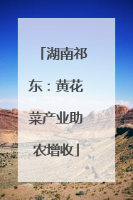 湖南祁东：黄花菜产业助农增收