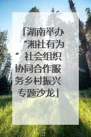 湖南举办“湘社有为”社会组织协同合作服务乡村振兴专题沙龙
