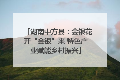 湖南中方县：金银花开“金银”来 特色产业赋能乡村振兴