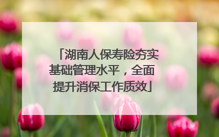 湖南人保寿险夯实基础管理水平，全面提升消保工作质效
