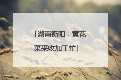 湖南衡阳：黄花菜采收加工忙