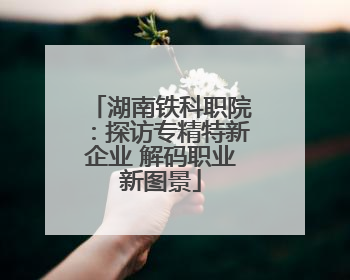 湖南铁科职院：探访专精特新企业 解码职业新图景