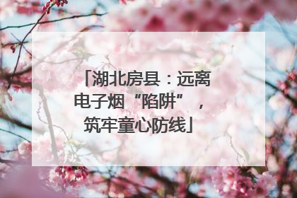 湖北房县：远离电子烟“陷阱”，筑牢童心防线