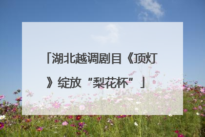 湖北越调剧目《顶灯》绽放“梨花杯”