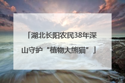 湖北长阳农民38年深山守护“植物大熊猫”