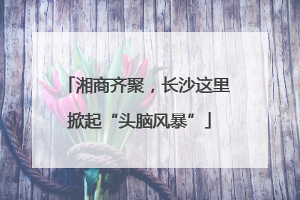 湘商齐聚，长沙这里掀起“头脑风暴”