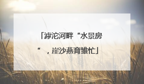 滹沱河畔“水景房”，崖沙燕育雏忙