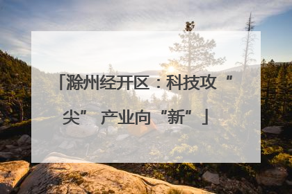 滁州经开区：科技攻“尖” 产业向“新”
