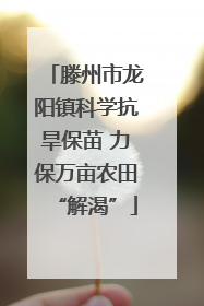滕州市龙阳镇科学抗旱保苗 力保万亩农田“解渴”