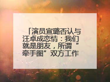 演员宣璐否认与汪卓成恋情：我们就是朋友，所谓“牵手图”双方工作人员均在场