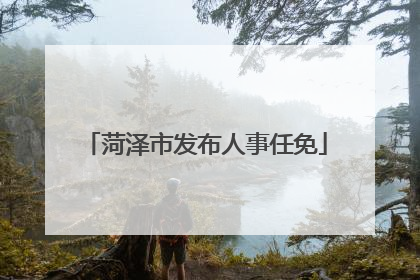 菏泽市发布人事任免