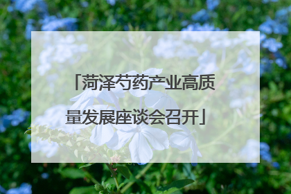 菏泽芍药产业高质量发展座谈会召开
