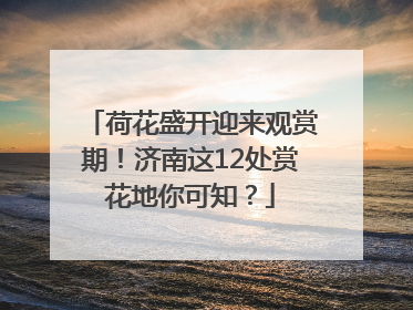 荷花盛开迎来观赏期！济南这12处赏花地你可知？