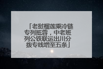 老挝榴莲乘冷链专列抵蓉，中老班列公铁联运出川分拨专线增至五条