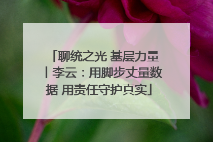 聊统之光 基层力量丨李云：用脚步丈量数据 用责任守护真实