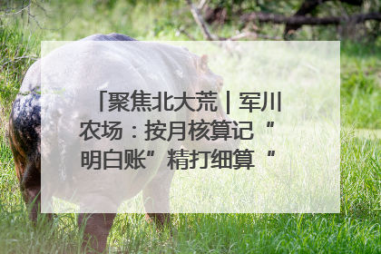 聚焦北大荒｜军川农场：按月核算记“明白账”精打细算“过紧日子”