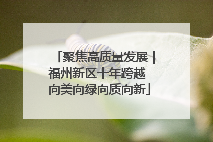 聚焦高质量发展｜福州新区十年跨越 向美向绿向质向新