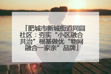肥城市新城街道同圆社区：夯实“小区融合共治”根基做优“物网融合一家亲”品牌