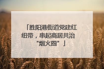 胜阳港街道党建红纽带，串起商居共治 “烟火圈”