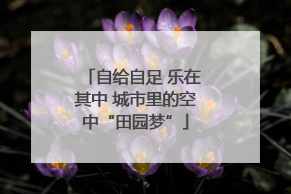 自给自足 乐在其中 城市里的空中“田园梦”