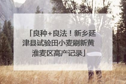 良种+良法！新乡延津县试验田小麦刷新黄淮麦区高产记录