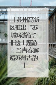 苏州高新区推出“苏城环游记”非遗主题游：当青春邂逅苏州古韵