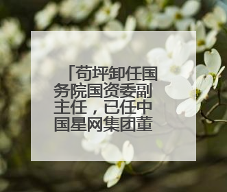 苟坪卸任国务院国资委副主任，已任中国星网集团董事长