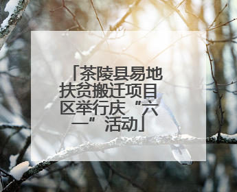 茶陵县易地扶贫搬迁项目区举行庆“六一”活动